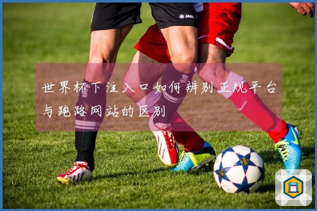 世界杯下注入口如何辨别正规平台与跑路网站的区别