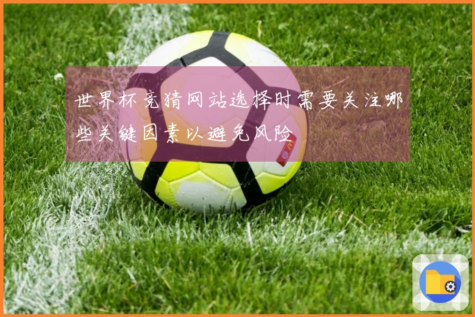 世界杯竞猜网站选择时需要关注哪些关键因素以避免风险