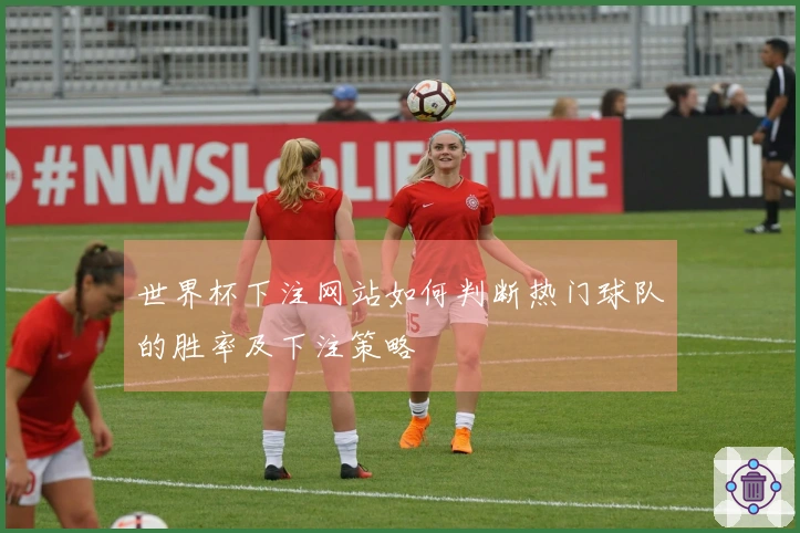 世界杯下注网站如何判断热门球队的胜率及下注策略