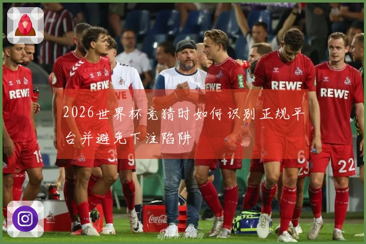 2026世界杯竞猜时如何识别正规平台并避免下注陷阱