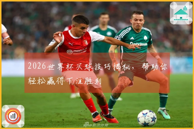 2026世界杯买球技巧揭秘，帮助你轻松赢得下注胜利