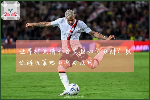 世界杯竞猜平台真假如何分辨？教你避坑策略与判断技巧