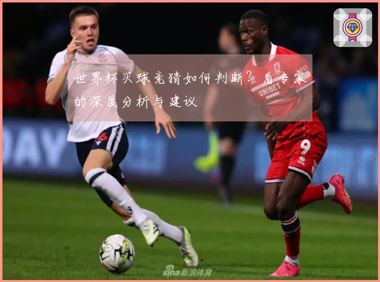 世界杯买球竞猜如何判断？看专家的深度分析与建议