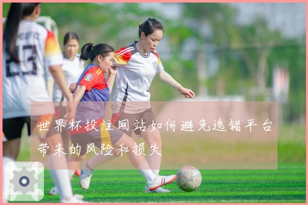 世界杯投注网站如何避免选错平台带来的风险和损失