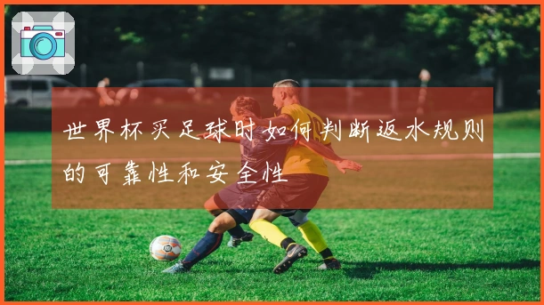 世界杯买足球时如何判断返水规则的可靠性和安全性