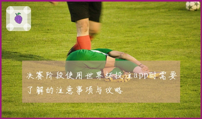 决赛阶段使用世界杯投注app时需要了解的注意事项与攻略