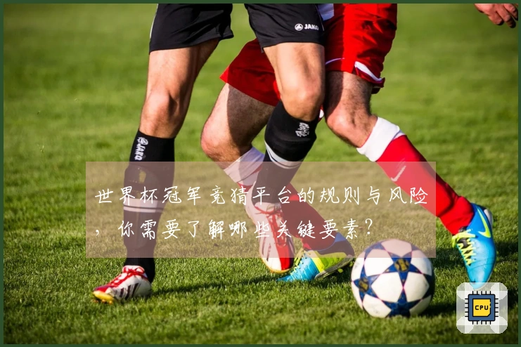 世界杯冠军竞猜平台的规则与风险,你需要了解哪些关键要素?