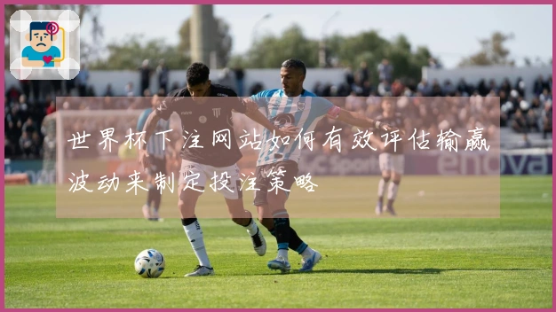 世界杯下注网站如何有效评估输赢波动来制定投注策略