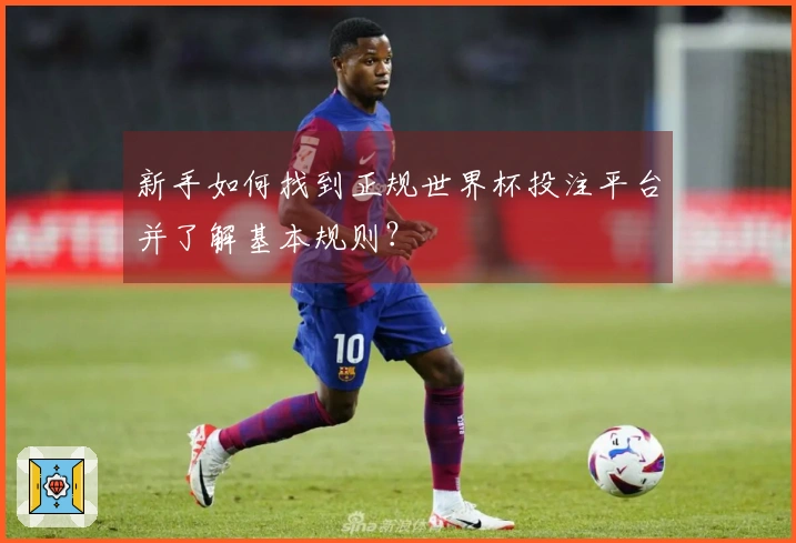 新手如何找到正规世界杯投注平台并了解基本规则？