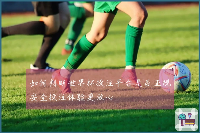 如何判断世界杯投注平台是否正规安全投注体验更放心
