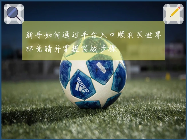 新手如何通过平台入口顺利买世界杯竞猜并掌握实战步骤