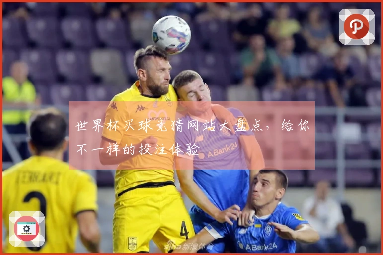 世界杯买球竞猜网站大盘点，给你不一样的投注体验