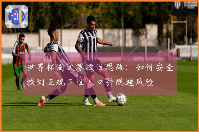 世界杯淘汰赛投注思路：如何安全找到正规下注入口并规避风险