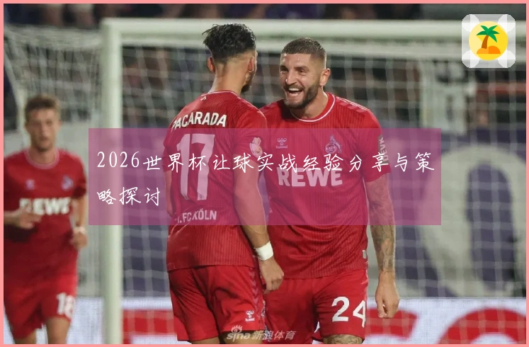 2026世界杯让球实战经验分享与策略探讨