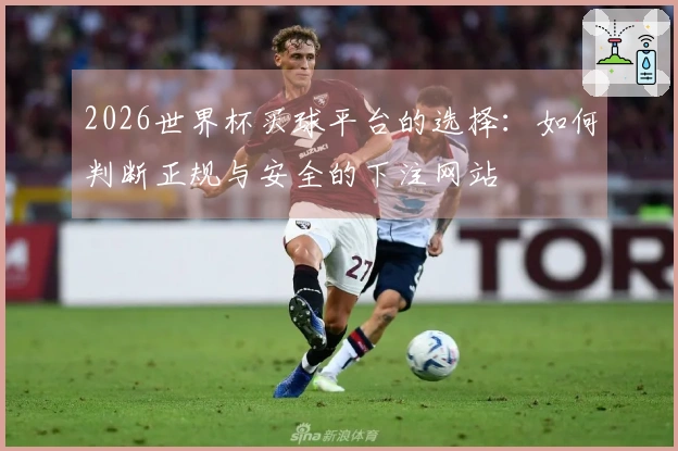 2026世界杯买球平台的选择：如何判断正规与安全的下注网站