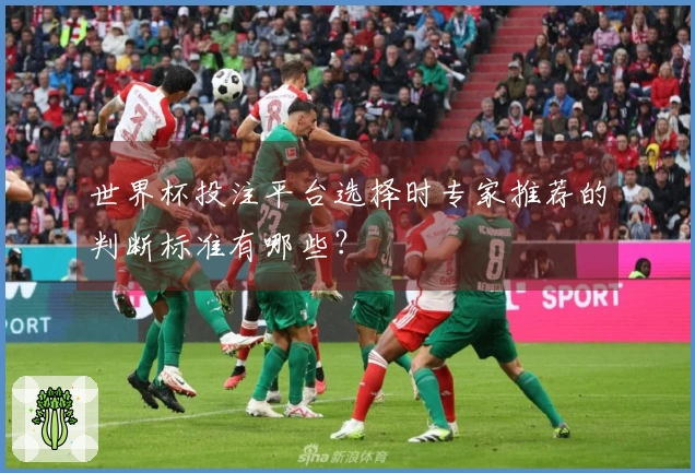 世界杯投注平台选择时专家推荐的判断标准有哪些？