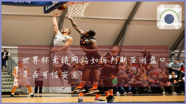 世界杯竞猜网站如何判断亚洲盘口是否可信安全