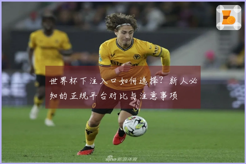 世界杯下注入口如何选择？新人必知的正规平台对比与注意事项