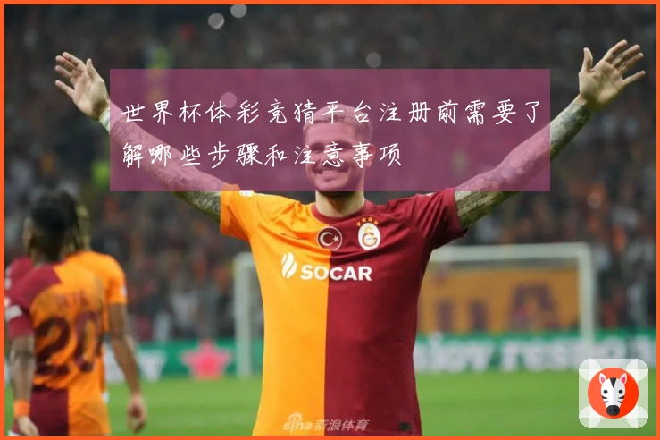 世界杯体彩竞猜平台注册前需要了解哪些步骤和注意事项