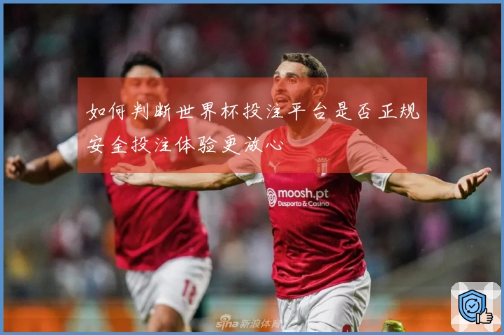 如何判断世界杯投注平台是否正规安全投注体验更放心