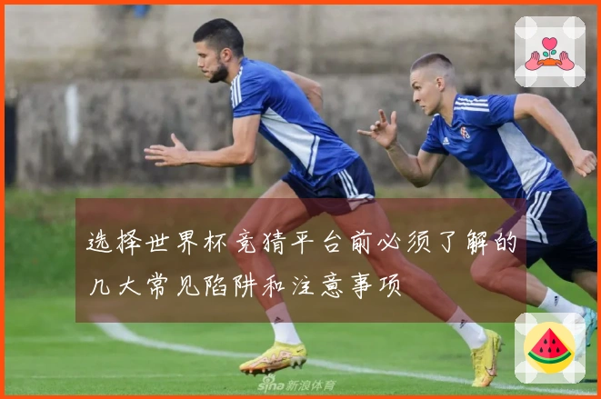 选择世界杯竞猜平台前必须了解的几大常见陷阱和注意事项