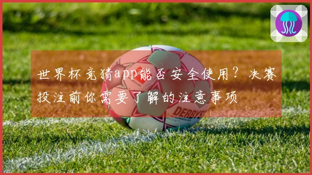 世界杯竞猜app能否安全使用？决赛投注前你需要了解的注意事项