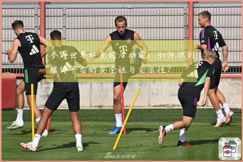参加世界杯竞猜活动前，如何识别赌博平台的安全性与合法性？