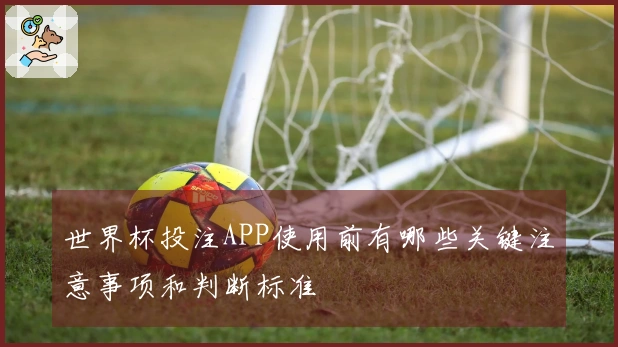 世界杯投注APP使用前有哪些关键注意事项和判断标准