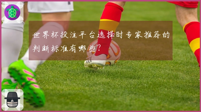 世界杯投注平台选择时专家推荐的判断标准有哪些?