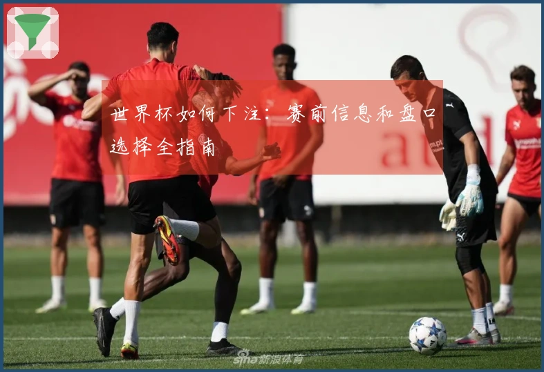 世界杯如何下注:赛前信息和盘口选择全指南
