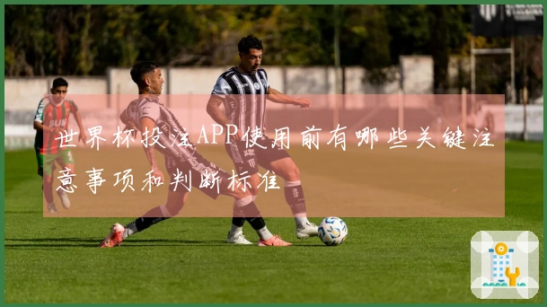 世界杯投注APP使用前有哪些关键注意事项和判断标准