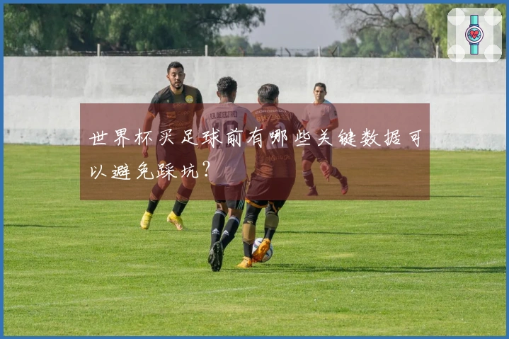 世界杯买足球前有哪些关键数据可以避免踩坑？
