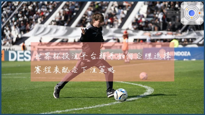 世界杯投注平台新手如何合理选择赛程表配合下注策略