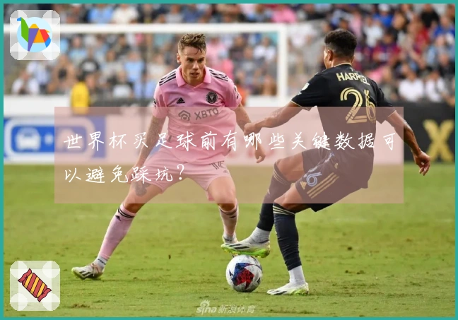 世界杯买足球前有哪些关键数据可以避免踩坑？