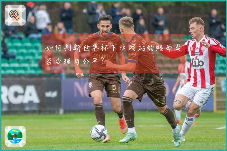 如何判断世界杯下注网站的赔率是否合理与公平?
