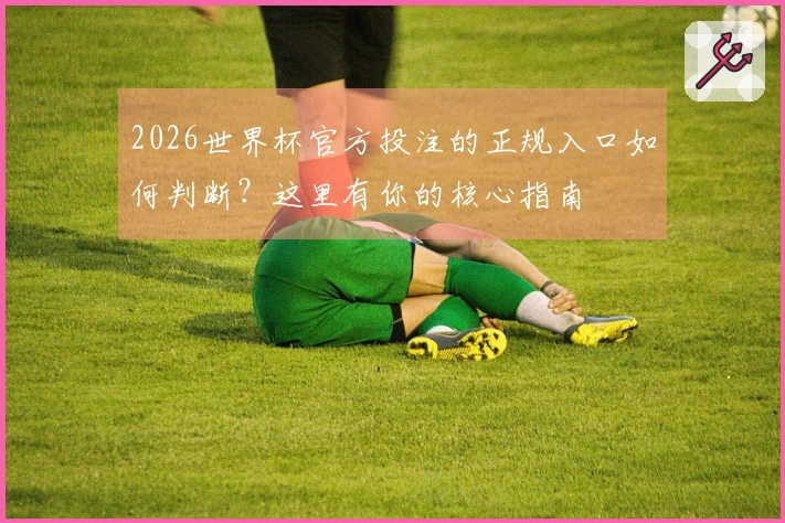 2026世界杯官方投注的正规入口如何判断？这里有你的核心指南